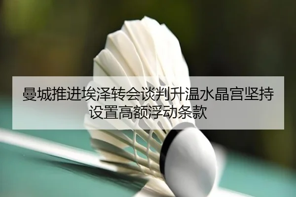 曼城推进埃泽转会谈判升温水晶宫坚持设置高额浮动条款